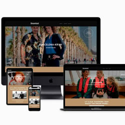 Agentur HALMA Leistungen Digital: Dreamtool
