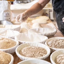 Brotbackstube regionales Startup
