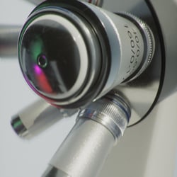 Microscopic Exploration