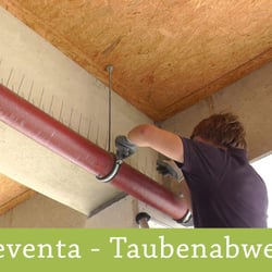 Videomarketing Taubenabwehr