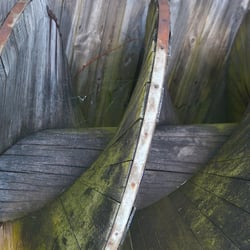Wasserschraube