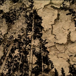 Earth