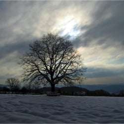 Daylight coming 1788k