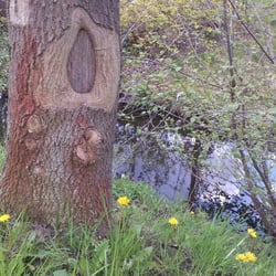 Nature 01
