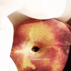 Food 23.08.14