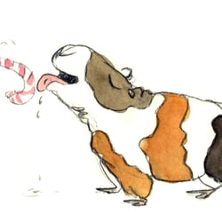Meerschweinchen