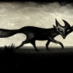 Black Fox