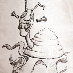 Insektenschildkröte
