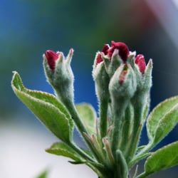 Frühling