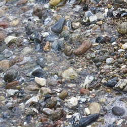 nasse Strandsteine