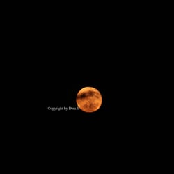 Moon Mai 2014 © by Dina.T