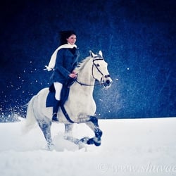 Pferderennen im Schnee.