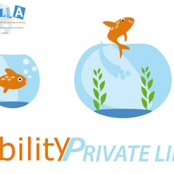 Disability and Private Life