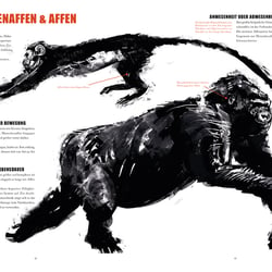 Gorilla (Sachbuch)