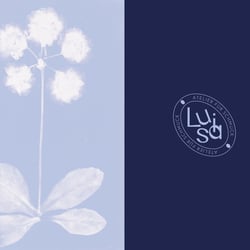 Corporate Design