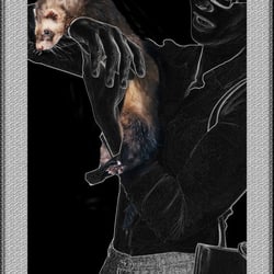 1_Frettchen
