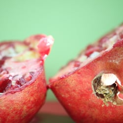 Granatapfel November 2012