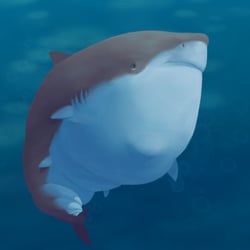 Fat Shark Ed