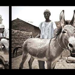 download.lassen.travel68