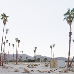 Palm Springs, 2015