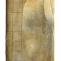 Studie 002