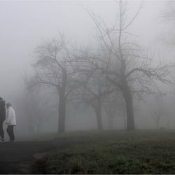 zwei Menschen im Nebel