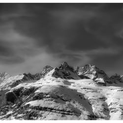 Alpine Horizontal