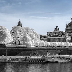 Dresden
