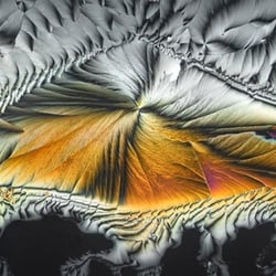 Kristallstruktur im polarisierten Licht, Mikro-Panorama