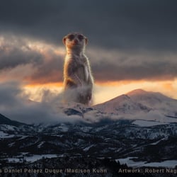 Erdballmännchen