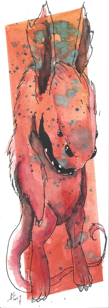 Hase