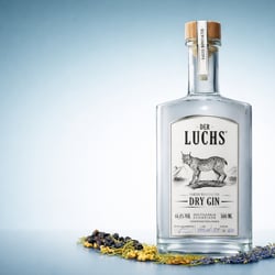 Gin