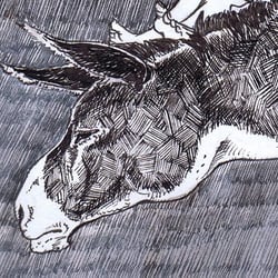 A Funny Donkey Ride-happy donkey