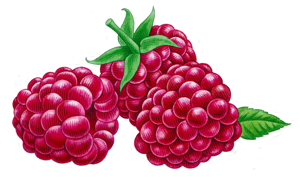 Himbeeren