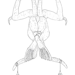 o.T.6