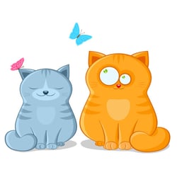 cats