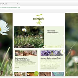 Website (statisch)
