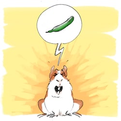 Meerschweinchen will Gurke