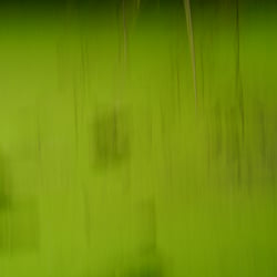Under the Surface 1