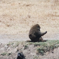 lake nakuru78