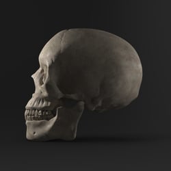 Skull2