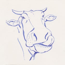 Zeichnung mit Kalligraphiefeder
