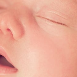 Babyfotos Leipzig, Neugeborenenfotos Dresden, Babyfotograf Chemnitz, Neugeborenenfotograf Halle, Sachsen