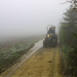 Traktor im Nebel