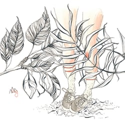 random meilensteine (26)