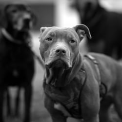 DSC 5561h