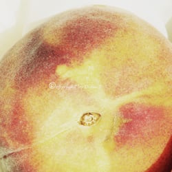 Food 23.08.14