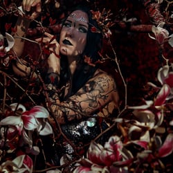 Dark Cherry blossom