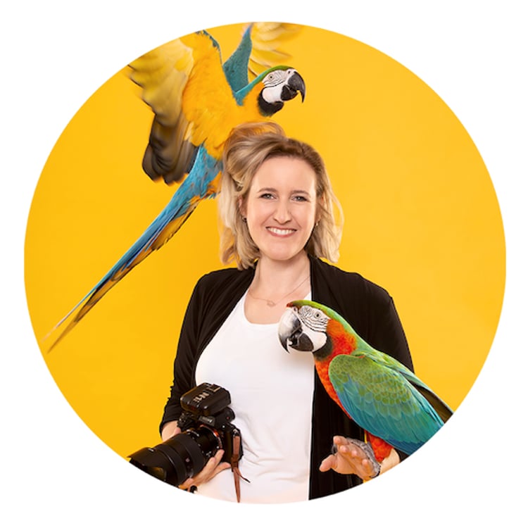 Tatjana Kunath LAMINA – Werbefotografie mit Tieren