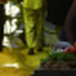 Baobab Social Busines – Cd Case offen